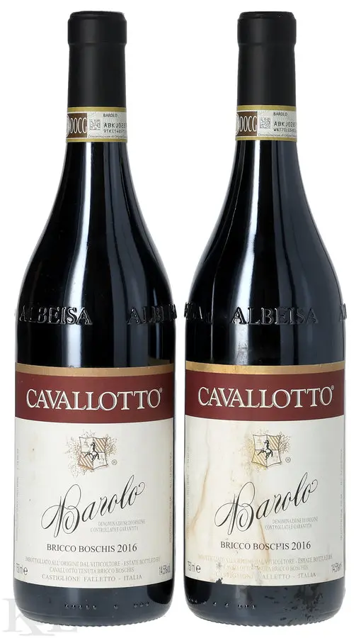 2016 Cavallotto Bricco Boschis Barolo