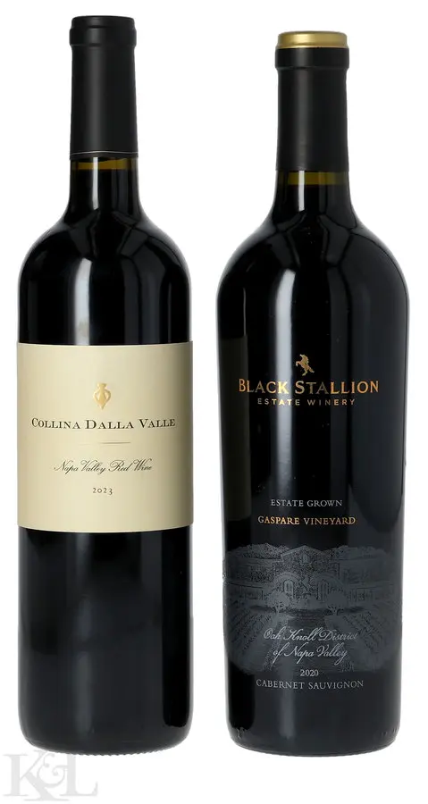 Black Stallion Cabernet Sauvignon & Dalla Valle Red Blend Tasting Lot