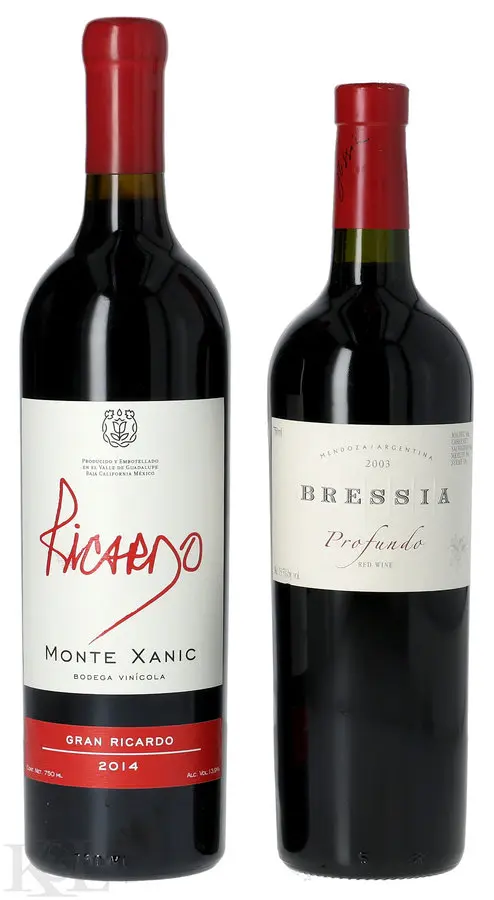 Bodegas Bressia Mendoza & Monte Xanic Red Blend Tasting Lot