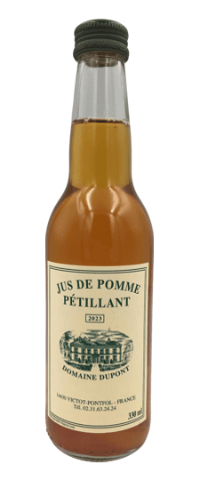 Etienne Dupont "Jus de Pomme" Petillant (Non-Alcoholic Sparkling Apple Juice), France (330ml)