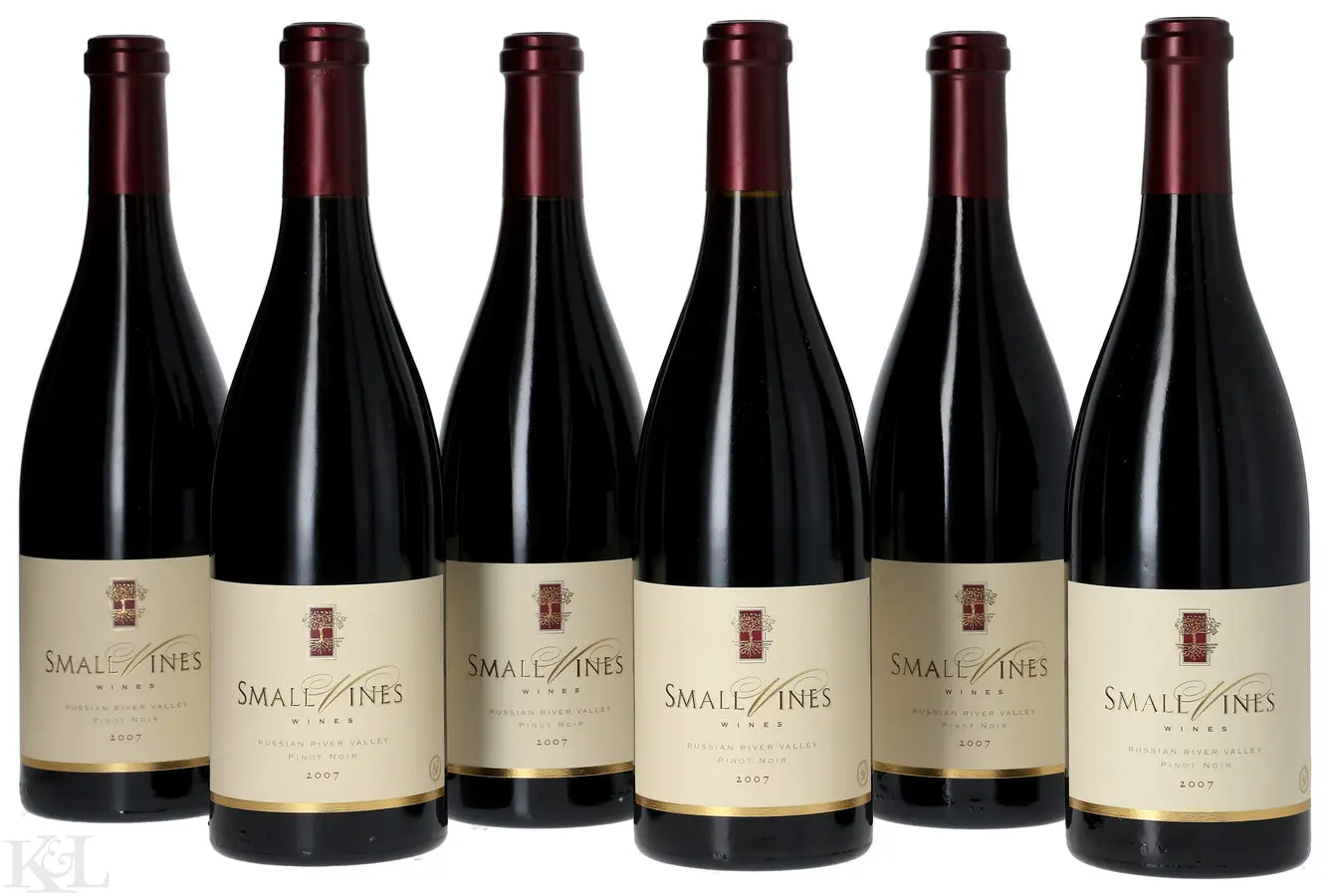 2007 Small Vines Wines Russian River Valley Pinot Noir