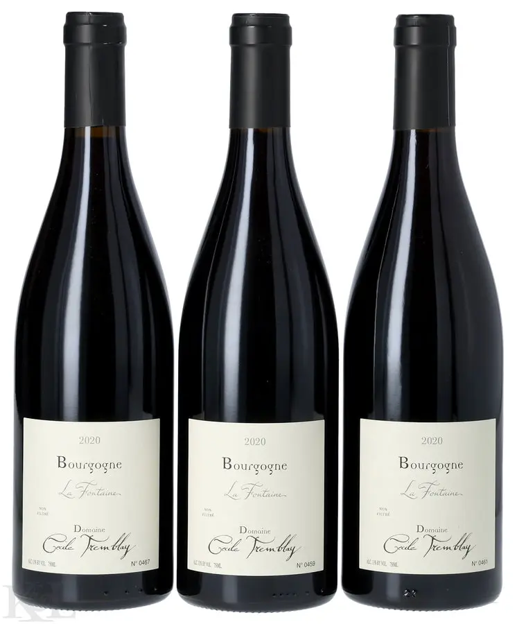 2020 Domaine Cecile Tremblay Bourgogne "La Fontaine"