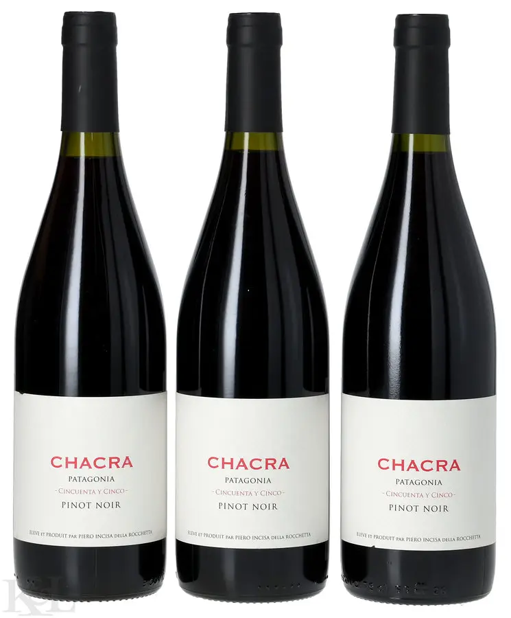 Bodega Chacra "Cincuenta y Cinco" Pinot Noir Rio Negro Patagonia
