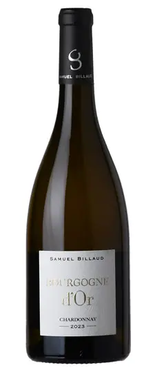 2023 Samuel Billaud Bourgogne d'Or Chardonnay