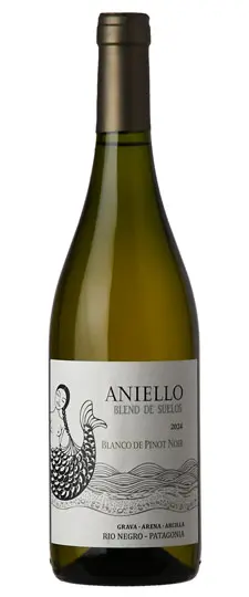 2024 Aniello Blanco de Pinot Noir Rio Negro Patagonia