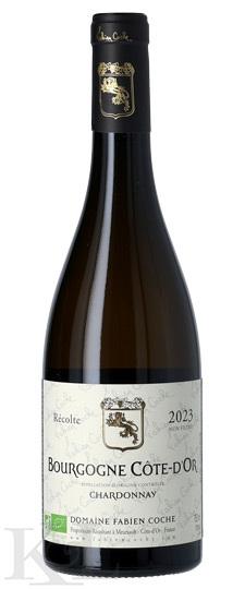 2023 Domaine Fabien Coche Bourgogne Blanc Cote d'Or