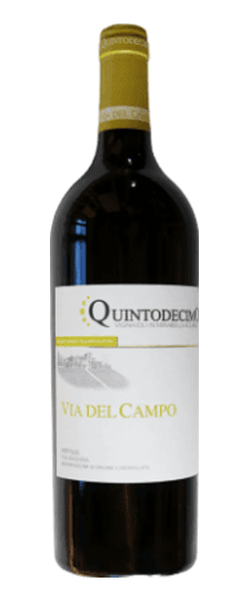 2023 Quintodecimo "Via del Campo" Falanghina Irpinia