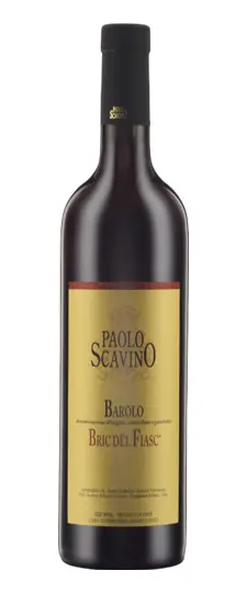 Paolo Scavino "Bric Del Fiasc" Barolo
