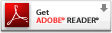 Download Adobe Acrobat (opens new window)